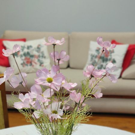 Lesna Harmonia Apartment ออลชติน ภายนอก รูปภาพ