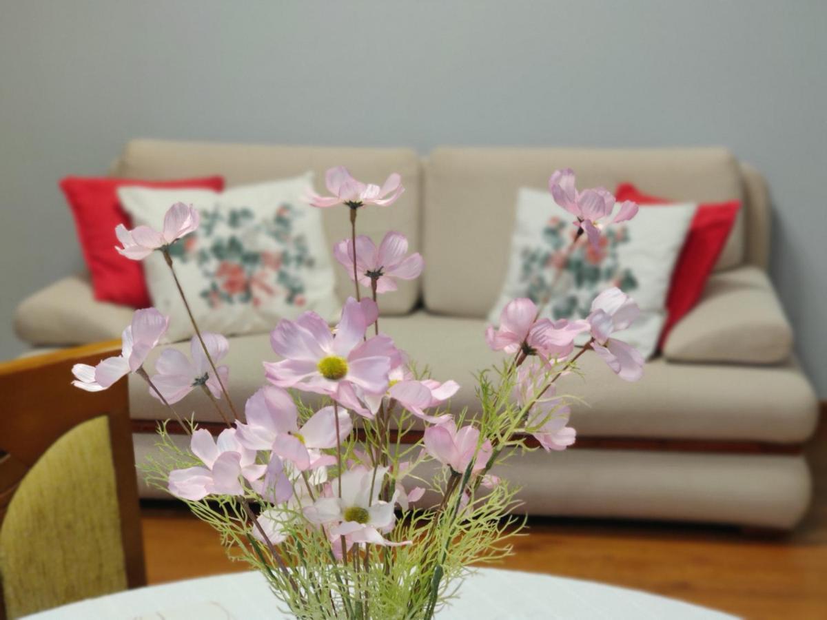 Lesna Harmonia Apartment ออลชติน ภายนอก รูปภาพ